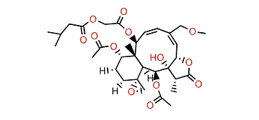 Gemmacolide AE